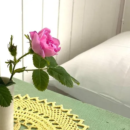 Historic House, 1880 - Stunning Panoramic Views Σπίτι διακοπών