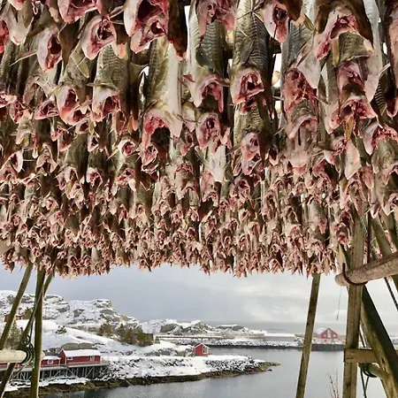 Historic House, 1880 - Stunning Panoramic Views * Sørvågen